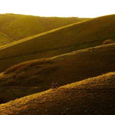 Utah Presents - Home